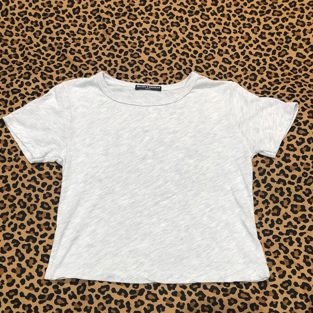 Brandy Melville Heathered Grey Cropped Tee *OS*